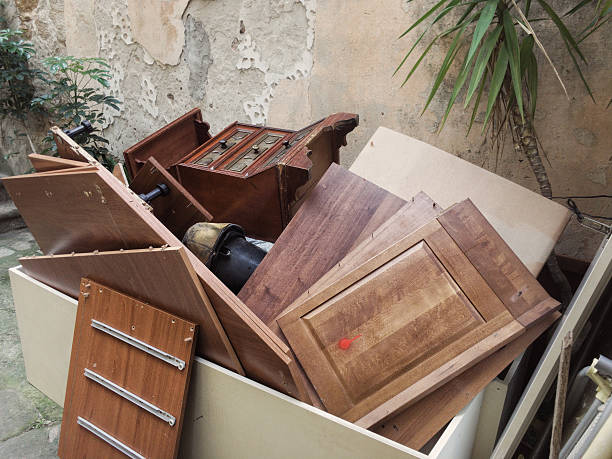 Yard Cleanup Services in Hamilton, AL
